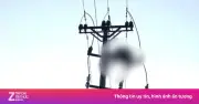Nam sinh 16 tuổi tử vong thương tâm trên cột điện cao thế tại Nghệ An