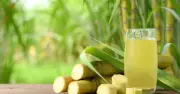 Nước mía: Thức uống giải khát nhưng không dành cho tất cả mọi người
