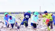 Đồng bằng sông Cửu Long đối mặt kép: Cháy rừng và xâm nhập mặn trong mùa khô 2026