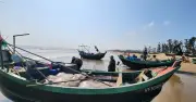 Ngư Dân Hà Tĩnh Đổi Đời Nhờ Mùa Sứa: Cập Bờ Là Có Tiền Triệu