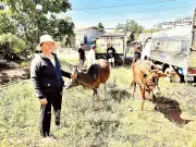 Đồng Nai giảm nghèo bền vững: Chuyển từ hỗ trợ sang tạo sinh kế, tỷ lệ hộ nghèo giảm mạnh