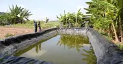 Đồng Tháp khởi động lại kế hoạch xây 3 hồ trữ nước ngọt lớn chống hạn mặn