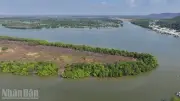 Ông Trần Văn Út Bị Xử Phạt Và Cưỡng Chế Vì Chiếm Dụng Gần 248.000m2 Đất Công Tại Đầm Đông Hồ