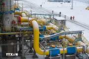 Nga cân nhắc ngừng vận chuyển dầu từ Kazakhstan sang Đức qua đường ống Druzhba