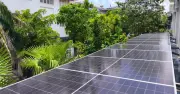 Nghị định mới: Phạt đến 100 triệu đồng vi phạm phát triển điện tái tạo