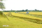 Nghị quyết mới thúc đẩy phát triển nông nghiệp, nông thôn bền vững tại Việt Nam
