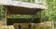 Đề nghị truy tặng danh hiệu Anh hùng LLVT nhân dân cho cha đẻ 'bếp không khói Hoàng Cầm'