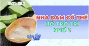 Nghiên cứu mới: Hợp chất Beta-sitosterol trong nha đam hỗ trợ kiểm soát bệnh Alzheimer