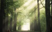Người có số cuối ngày sinh âm lịch này thường hay giúp đỡ người khác, càng chân thành càng nhiều lộc