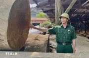 Người cựu chiến binh Tô Thậm: Phẩm chất 'Bộ đội Cụ Hồ' trên mặt trận kinh tế