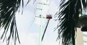 Người thợ điện TP.HCM vắt vẻo trên cao, cuộc thi 220 triệu đồng kỷ niệm 50 năm