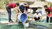 Ngân hàng giảm lãi suất, hỗ trợ nông dân và doanh nghiệp phục hồi sau thiên tai