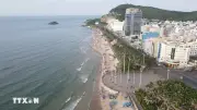 Nguyên nhân nước biển Bãi Sau Vũng Tàu chuyển màu xanh đỏ bất thường