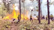 Ngày đêm bám rừng canh 'giặc lửa' tại Đắk Lắk