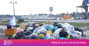 Nhà Máy Đốt Rác Cần Thơ 'Khát' Rác, Lượng Tiếp Nhận Giảm Mạnh Sau Ngày 10/4