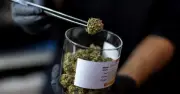Nhà sư Sri Lanka bị bắt vì giấu cần sa Kush trong vali tại Thái Lan