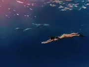 Ánh Viên 'thả mình' giữa đàn cá mập ở Maldives sau giải bơi