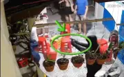 Nhóm thanh niên dùng súng giả và dao tấn công người nhậu ở Đồng Tháp, 2 người bị thương