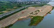 Những người nông dân 'du mục' rong ruổi theo phù sa trồng dưa hấu ven sông Trà