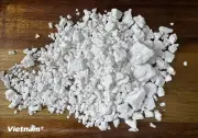 Những tác dụng tuyệt vời của loại bột gần gũi với người Việt