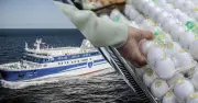 Nhật Bản: Hơn 10.500 doanh nghiệp phá sản trong năm, nguy cơ khủng hoảng 1970 tái diễn