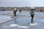 Ninh Bình đặt mục tiêu trở thành trung tâm kinh tế biển trọng điểm của Bắc Bộ