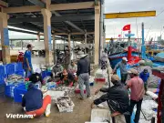 Đà Nẵng hoàn thành 19 nhiệm vụ chống khai thác IUU, xử lý nghiêm vi phạm