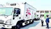 Nông sản Việt chinh phục thị trường khó tính: Thành công bước đầu và thách thức dài hạn