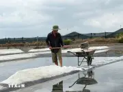 Nâng tầm giá trị hạt muối, gỗ khô cho điểm đến du lịch Việt Nam