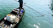 Đà Nẵng: Xử phạt 7,5 triệu đồng đối với người dùng kích điện tận diệt thủy sản trên sông Tam Kỳ
