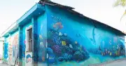 Đảo bé An Bình Lý Sơn 'lột xác' ngoạn mục nhờ dự án sơn mới