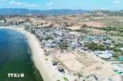 Đào tạo và cung ứng nguồn nhân lực cho ngành điện hạt nhân tại Việt Nam