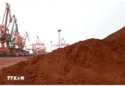 OECD: Hạn chế xuất khẩu nguyên liệu thiết yếu tăng mạnh trên toàn cầu
