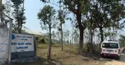 Ong tấn công tổ kiểm tra rừng ở Quy Nhơn: 1 người tử vong, 4 người nhập viện