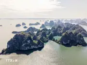 Phê duyệt nhiệm vụ lập quy hoạch bảo tồn và phát huy tiềm năng Vịnh Hạ Long