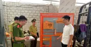Phú Thọ: Phát hiện nuôi nhốt trái phép khỉ vàng và nhiều động vật hoang dã