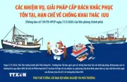 Phó Thủ tướng Trần Hồng Hà chỉ đạo khẩn cấp chống khai thác hải sản bất hợp pháp