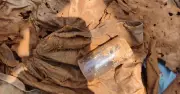 Phát hiện thêm hài cốt liệt sĩ tại khe núi Cha Lỳ, Quảng Trị
