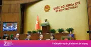 Quốc Hội Bầu Chủ Tịch Nước Và Thủ Tướng Nhiệm Kỳ 2026-2031