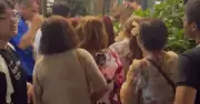 Quán Cà Phê Đàm Vĩnh Hưng Ở Thảo Điền Quá Tải Vì Người Hâm Mộ Đổ Xô Chụp Ảnh
