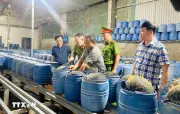 Quảng Ninh phát hiện nhiều cơ sở sản xuất giả đồ sứ sử dụng chất cấm
