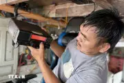 Quảng Ninh quyết liệt khắc phục thẻ vàng IUU, thúc đẩy phát triển bền vững
