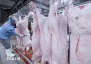 Quảng Ninh xử phạt 66 trường hợp vi phạm an toàn thực phẩm trong tháng 9