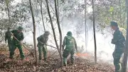 Quảng Trị Cảnh Báo Nguy Cơ Cháy Rừng Cao, Triển Khai Biện Pháp Phòng Cháy Khẩn Cấp