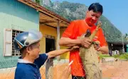 Quảng Trị: Ghi nhận ca tử vong do dại, đẩy mạnh tiêm phòng và nâng cao nhận thức cộng đồng