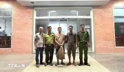 Quảng Trị tiếp nhận 2 cá thể tê tê quý hiếm thuộc nhóm nguy cấp