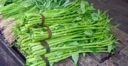 Rau muống từng bị Mỹ cấm ngặt: Lý do và hành trình thăng trầm