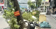 Rác tràn lan dọc bờ biển Cà Mau, ô nhiễm nghiêm trọng