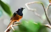 Số cuối ngày sinh âm lịch: Mệnh hút tiền, thần tài theo sát, sự nghiệp vững vàng