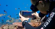 Samsung hé lộ Ocean Mode: Công nghệ chụp ảnh đáy biển độc đáo cho Galaxy Ultra